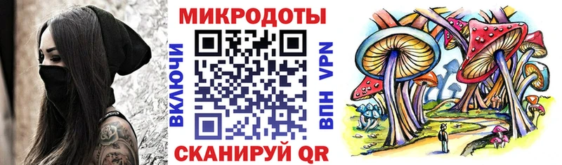 Галлюциногенные грибы мицелий  shop формула  Купино 